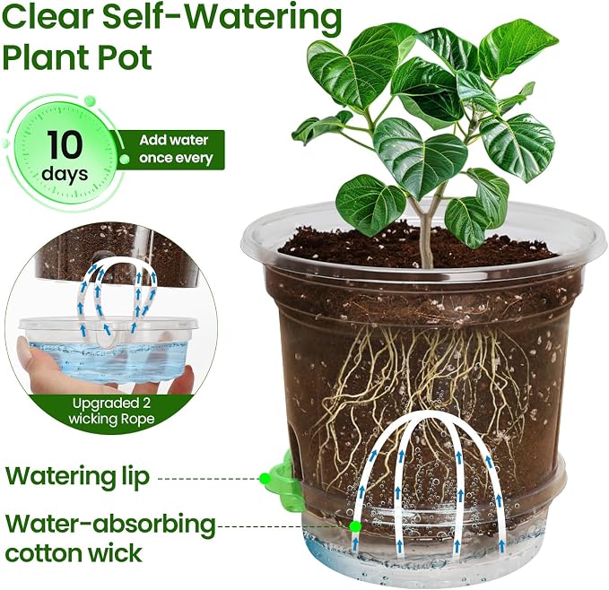 MIXC 12 Pack 6.5 Inch Self Watering Pots for Indoor Plants-Clear Plastic | With Drainage Holes & Deep Reservoirs, Wicking Rope，Root and Water-Level Visibility, Up to 7-Day Water Supply, Reusable