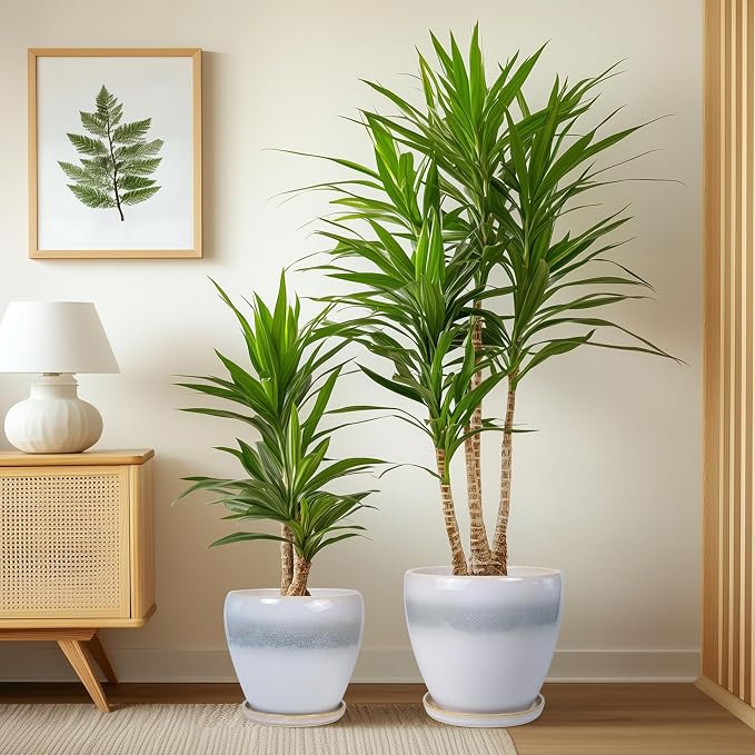 Ceramic Plant Pots - Modern Round 10 Inch 8 Inch 6 Inch Planters for Indoor Outdoor, Flower Pots with Drainage Holes and Plant Saucers, Home Decor, Plant Lover Gifts, Set of 3, White-Grey