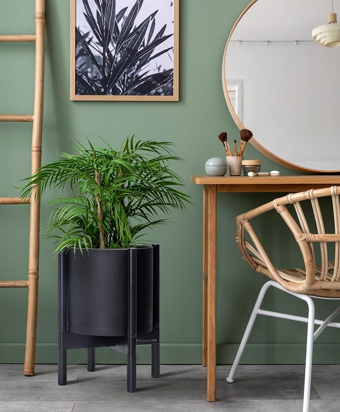 D'vine Dev Plastic Pot with Ebony Wood Stand, Black, 10 in, 55-C-N-2 | Mid-Century Inspired Design, Elevated Plant Display, Clean Lines, Sturdy Support, Modern Space-Saving Style