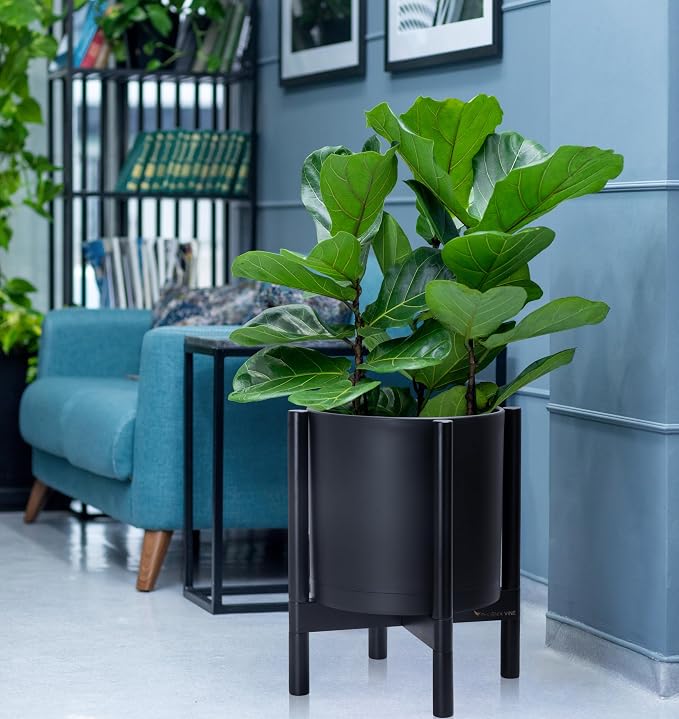 D'vine Dev Plastic Pot with Ebony Wood Stand, Black, 12 in, 55-C-Q-2 | Mid-Century Inspired Design, Elevated Plant Display, Clean Lines, Sturdy Support, Modern Space-Saving Style