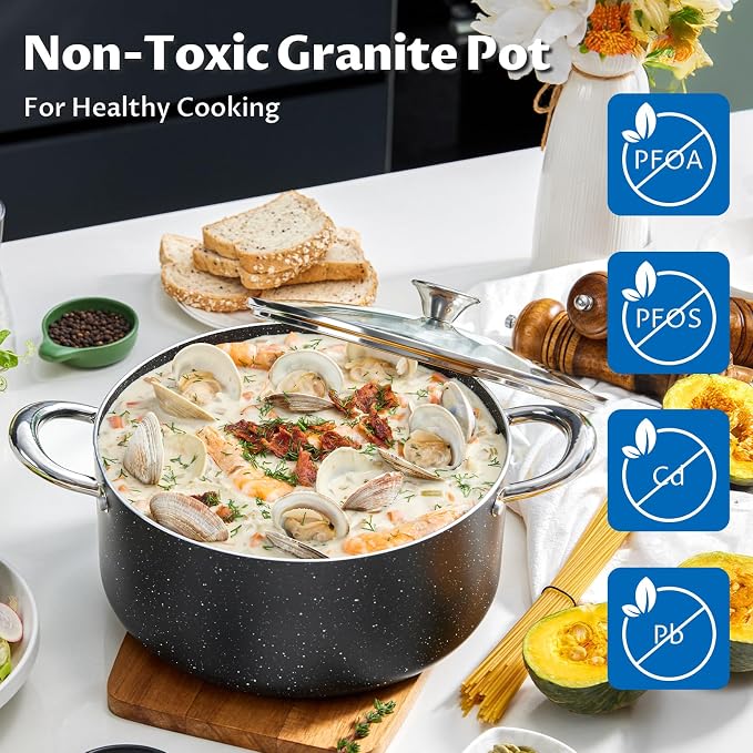 BEZIA 6 Quart Nonstick Stock Pot with Lid, Induction Cooking Pot for Soup | Oven & Dishwasher Safe, Quick Cleanup, All Stoves Compatible, for Daily Pasta, Fresh Marinara Sauces, Quick Weekday Chili