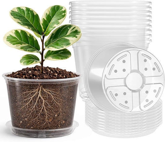 Bluepro Clear Nursery Pots with Saucers, 8 Inch, 8-Pack | Clear PET, Drainage Holes, Root and Moisture Visibility, Flexible, Reusable, Indoor/Outdoor Use, Propagation and Repotting