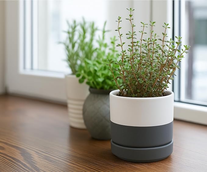 D'vine Dev 4.7 Inch Ceramic Planter Pot, White Grey, 94-O-B-6 | Modern Cylinder Design, Drainage Hole & Saucer Included, Stable Structure, Elegant Home Accent