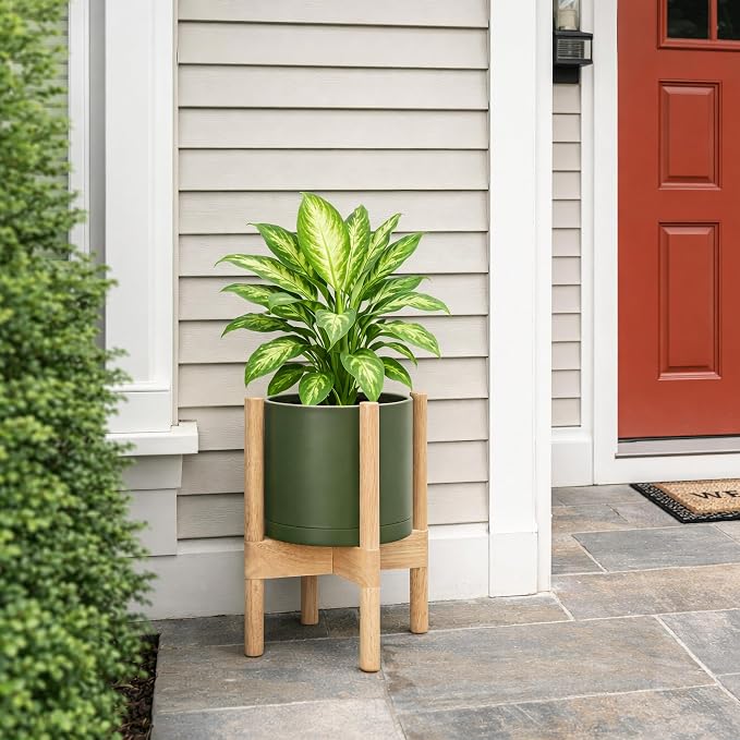 D'vine Dev Plastic Pot with Natural Wood Stand, Olive, 8 in, 55-C-J-3 | Mid-Century Inspired Design, Elevated Plant Display, Clean Lines, Sturdy Support, Modern Space-Saving Style