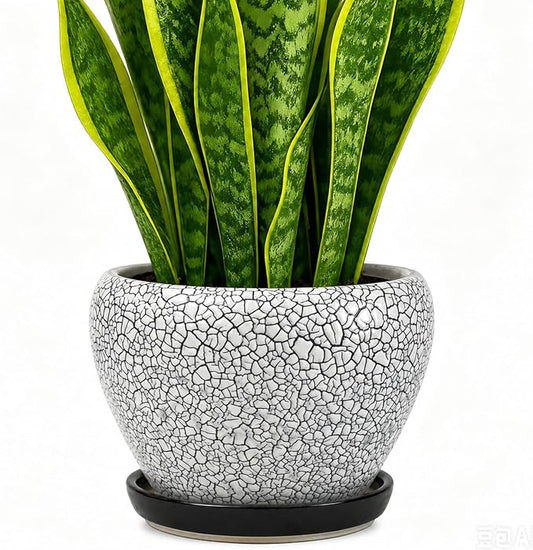 Deep Dream 8 Inch Plant Pots- Ceramic Pots for Plants with Drainage Hole and Saucer, Large Planter Pot for Indoor Plants Outdoor Decor, Wood Crack Black