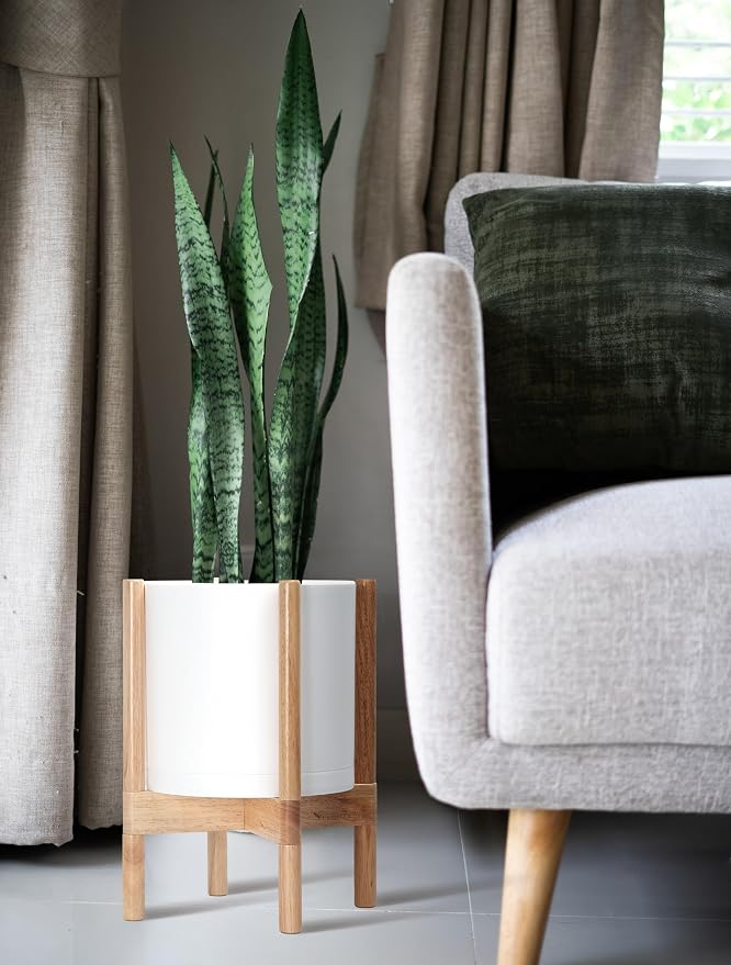 D'vine Dev Plastic Pot with Natural Wood Stand, White, 10 in, 55-C-M-1 | Mid-Century Inspired Design, Elevated Plant Display, Clean Lines, Sturdy Support, Modern Space-Saving Style