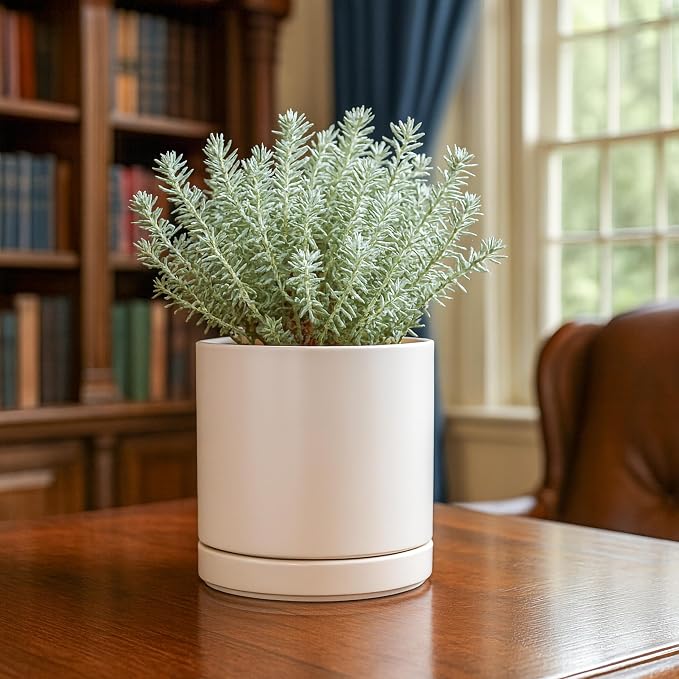 D'vine Dev 6.5 Inch Ceramic Planter Pot, Oatmeal, 94-O-C-8 | Modern Cylinder Design, Drainage Hole & Saucer Included, Stable Structure, Elegant Home Accent
