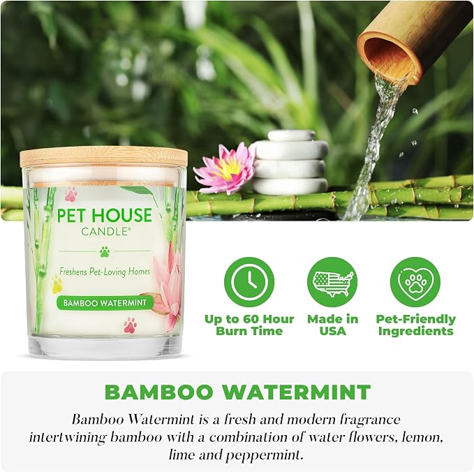 Pet House Candles, Plant-Based, Clean Burning, Long Lasting Scented Candles for Pet Odor - Bamboo Watermint, 2 Pack