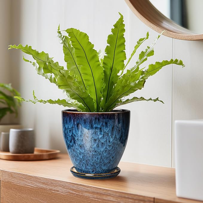 6 Inch Plant Pot - Ceramic Pots for Plants with Drainage Hole and Saucer, Ceramic Planters for Indoor Plants Outdoor, Decorative Round Planter, Room Home Decor, Gifts for Plant Lovers, Blue