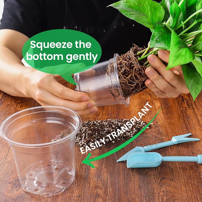 Bluepro Clear Nursery Pots with Drainage Holes, 3.5/4/5/7 Inch, 36-Pack | Clear PET, 9 Each of 4 Sizes, Root and Moisture Visibility, Flexible, Reusable, Indoor Use, Propagation and Seed Starting
