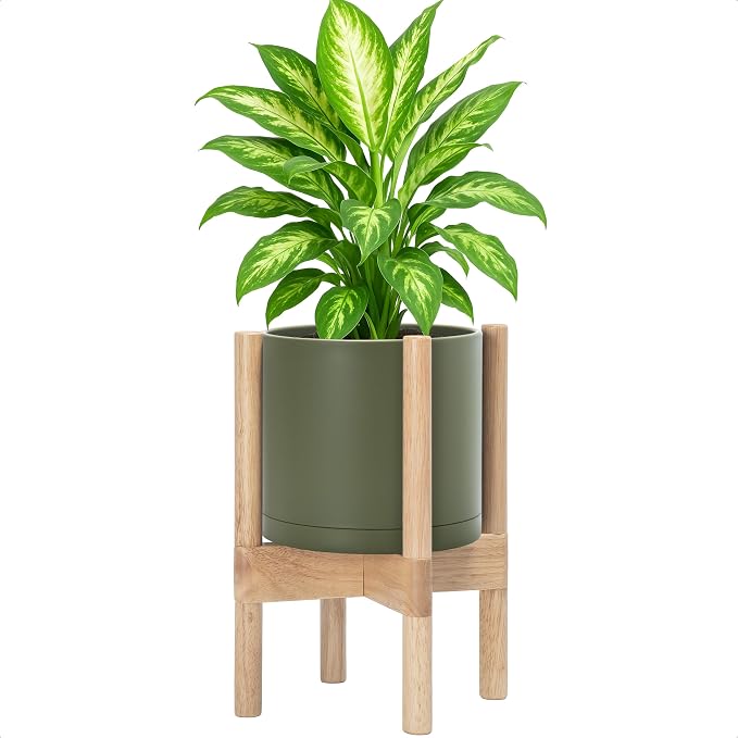 D'vine Dev Plastic Pot with Natural Wood Stand, Olive, 8 in, 55-C-J-3 | Mid-Century Inspired Design, Elevated Plant Display, Clean Lines, Sturdy Support, Modern Space-Saving Style