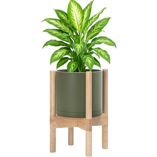D'vine Dev Plastic Pot with Natural Wood Stand, Olive, 8 in, 55-C-J-3 | Mid-Century Inspired Design, Elevated Plant Display, Clean Lines, Sturdy Support, Modern Space-Saving Style