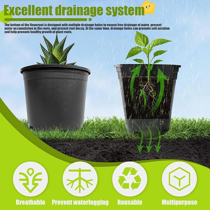 3 Gallon Nursery Pots Plastic Container Injection Molded Pot for Plants Flexible with Drainage Holes Suitable for Plants Soil Growers or Hydroponics Black 10 Pcs