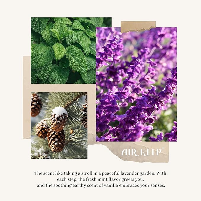 81P5_sHZvtL._AC_SX679 - 홈테코