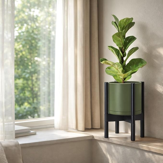 D'vine Dev Plastic Pot with Ebony Wood Stand, Olive, 8 in, 55-C-K-3 | Mid-Century Inspired Design, Elevated Plant Display, Clean Lines, Sturdy Support, Modern Space-Saving Style