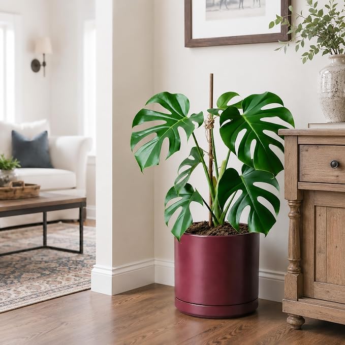 D'vine Dev 10 Inch Ceramic Planter Pot, Cordovan, 94-O-E-4 | Modern Cylinder Design, Drainage Hole & Saucer Included, Stable Structure, Elegant Home Accent