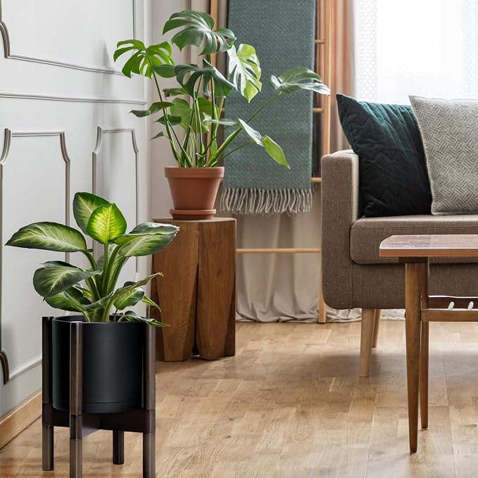 D'vine Dev Plastic Pot with Walnut Wood Stand, Black, 8 in, 55-C-I-2 | Mid-Century Inspired Design, Elevated Plant Display, Clean Lines, Sturdy Support, Modern Space-Saving Style