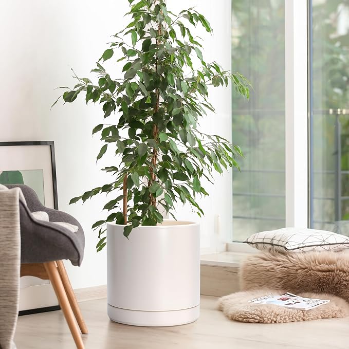 D'vine Dev 10 Inch Ceramic Planter Pot, Oatmeal, 94-O-E-8 | Modern Cylinder Design, Drainage Hole & Saucer Included, Stable Structure, Elegant Home Accent