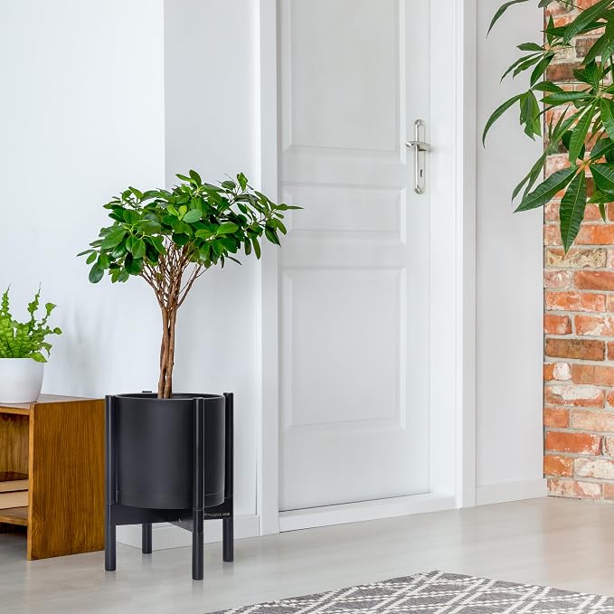 D'vine Dev Plastic Pot with Ebony Wood Stand, Black, 10 in, 55-C-N-2 | Mid-Century Inspired Design, Elevated Plant Display, Clean Lines, Sturdy Support, Modern Space-Saving Style