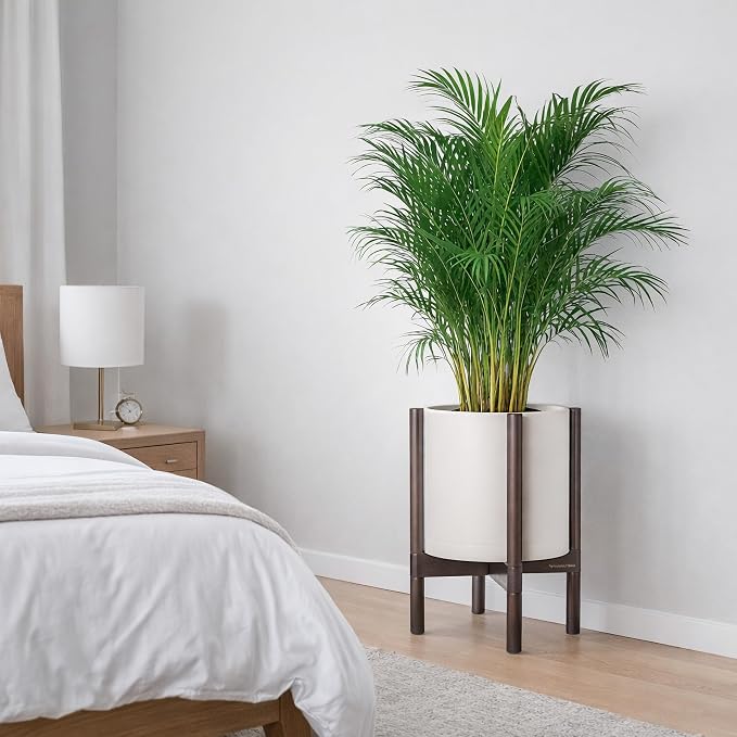 D'vine Dev Plastic Pot with Walnut Wood Stand, Oatmeal, 12 in, 55-C-O-4 | Mid-Century Inspired Design, Elevated Plant Display, Clean Lines, Sturdy Support, Modern Space-Saving Style