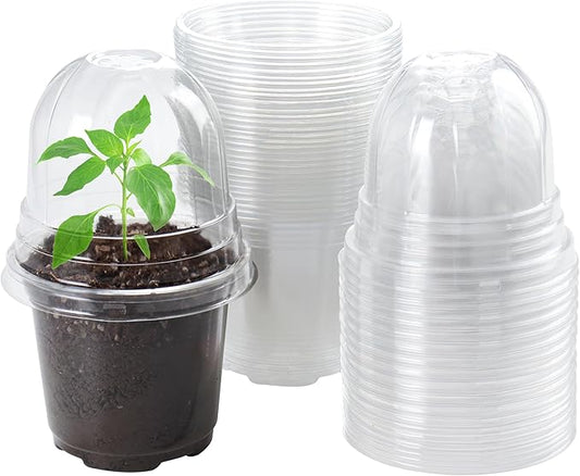 Bluepro Clear Nursery Pots with Humidity Domes, 4 Inch, 30-Pack | Clear PET, Drainage Holes, Root and Germination Visibility, Flexible, Indoor Propagation and Seed Starting