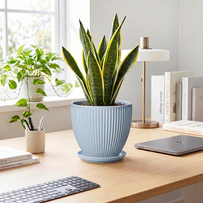 8 Inch Plant Pot Indoor, Ceramic Flower Pots with Drainage Hole and Saucer, Round Plant Pot for Indoor House Plants, Modern Plant Pot Indoor, Office Home Decor, House Warming Gifts, Light Blue