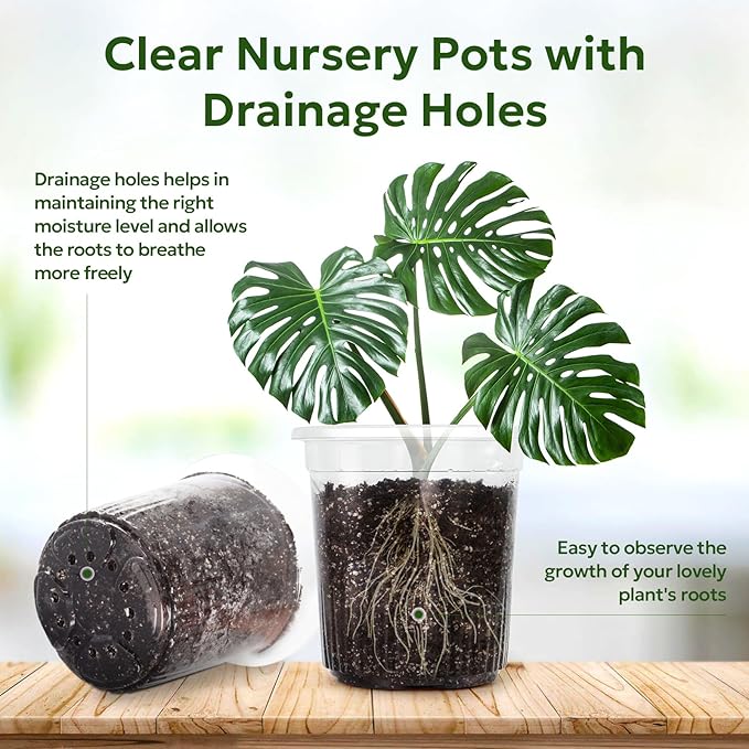 Bluepro Clear Nursery Pots with Drainage Holes, 7 Inch, 1 Gallon, 30-Pack | Clear PET, 1-Gallon Capacity, Root and Moisture Visibility, Flexible, Reusable, Indoor/Outdoor Use, Propagation and Repotting