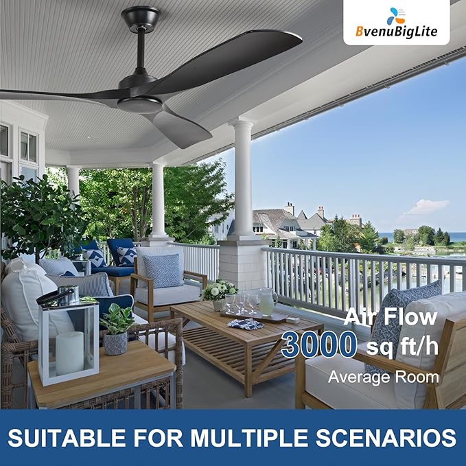 Ceiling Fan Without Light: 52 Inch Outdoor Fan for Patios - Black Ceiling Fan No Light Indoor - Modern 3 Blade Fan with Remote APP Control Reversible 6 Speed DC Motor