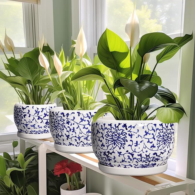 SQOWL 6 Inch Planter - Ceramic Plant Pots Indoor with Drainage Hole and Saucer, Round Ceramic Flower Pot Outdoor, Porcelain Decorative Planter, Backyard Decor, Gifts for Plant Lovers, Blue and White