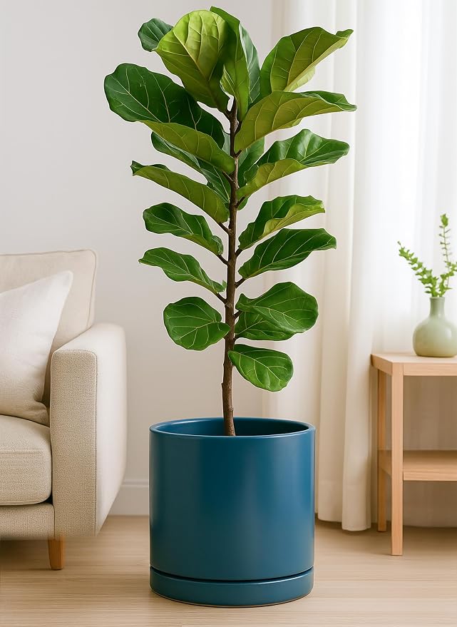 D'vine Dev 12 Inch Ceramic Planter Pot, Teal, 94-O-F-9 | Modern Cylinder Design, Drainage Hole & Saucer Included, Stable Structure, Elegant Home Accent