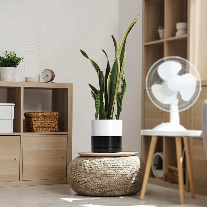 D'vine Dev 8.2 Inch Ceramic Planter Pot, Black White Two Tone, 94-O-D-L | Modern Cylinder Design, Drainage Hole & Saucer Included, Stable Structure, Elegant Home Accent