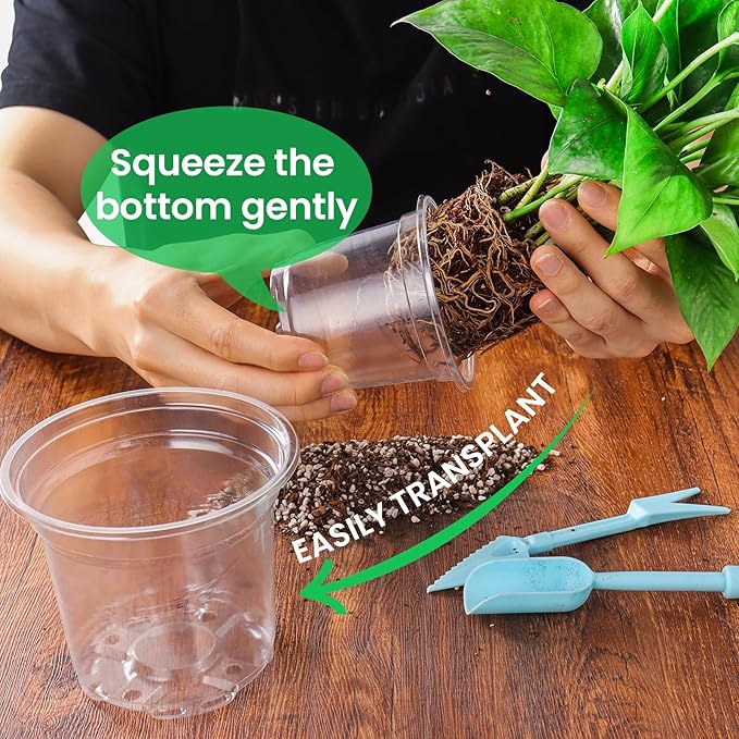 Bluepro Clear Nursery Pots with Drainage Holes, 4/5/7 Inch, 30-Pack | Clear PET, 10 Each of 3 Sizes, Root and Moisture Visibility, Flexible, Reusable, Indoor Use, Propagation and Seed Starting