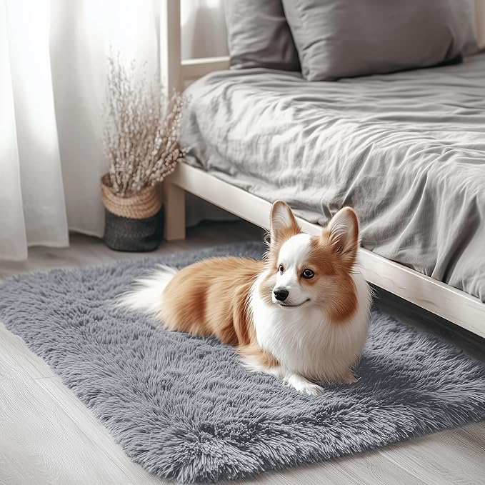 81UdLXUbGrL._AC_SX679_e0b7976c-c6fa-4100-b1df-1b3d7985ee36 - 홈테코