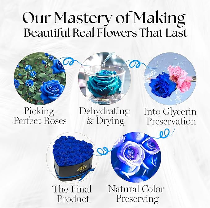 GLAMOUR BOUTIQUE 27 Flower Forever Heart Shape Box, Eternal Preserved Roses Gift for Her, Lasting Flowers, Premium Floral Heart Box for Birthday, Anniversary or Valentine’s Day, Blue (Color-Treated)
