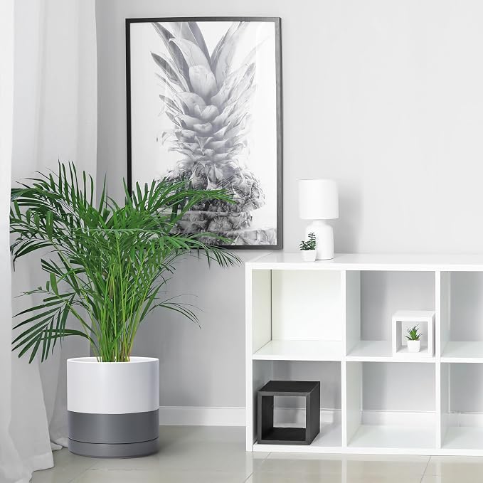 D'vine Dev 10 Inch Ceramic Planter Pot, White/Grey, 94-O-E-6 | Modern Cylinder Design, Drainage Hole & Saucer Included, Stable Structure, Elegant Home Accent