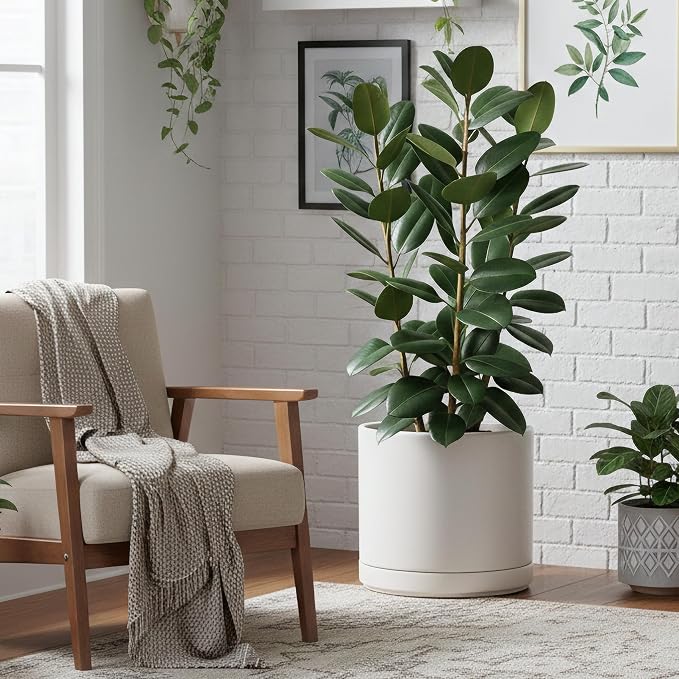 D'vine Dev 16 Inch Ceramic Planter Pot, White, 94-O-H-1 | Modern Cylinder Design, Drainage Hole & Saucer Included, Stable Structure, Elegant Home Accent