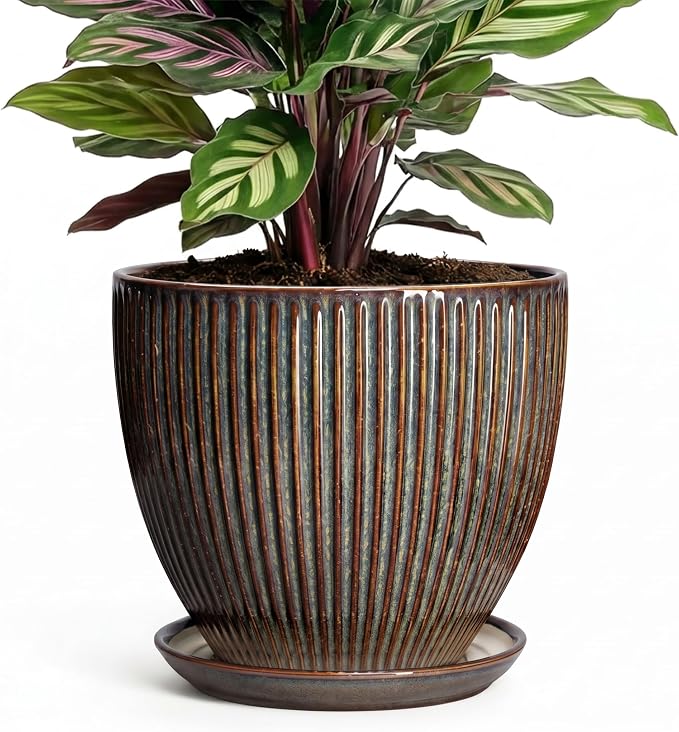 6 Inch Plant Pot, Ceramic Pots for Plants with Drainage Hole and Saucer, Decorative Planters for Indoor Plants, Small Flower Pots, Home Office Room Decor, Gifts for Plant Lovers, Retro Brown