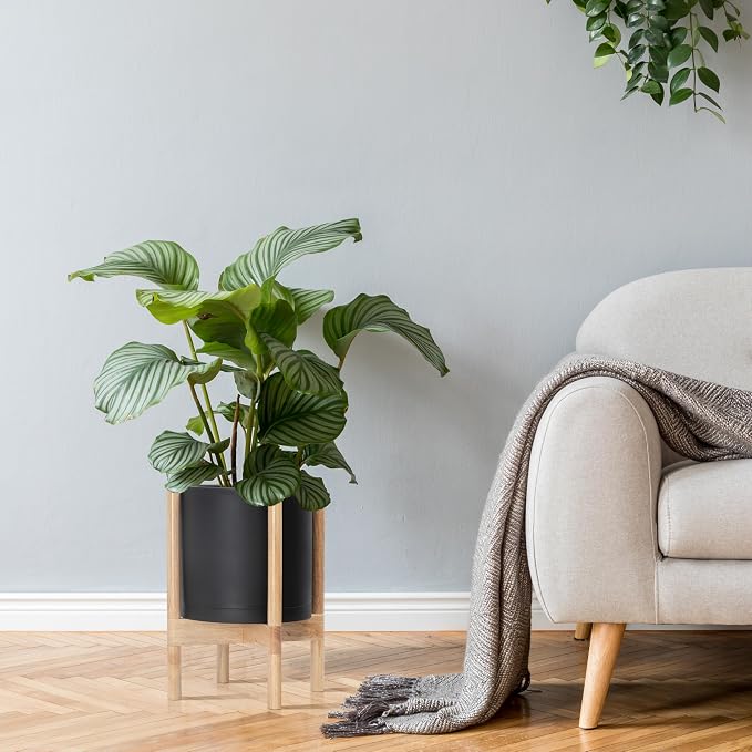 D'vine Dev Plastic Pot with Natural Wood Stand, Black, 10 in, 55-C-M-2 | Mid-Century Inspired Design, Elevated Plant Display, Clean Lines, Sturdy Support, Modern Space-Saving Style