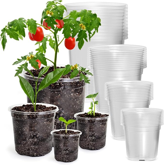 Bluepro Clear Nursery Pots with Drainage Holes, 3.5/4/5/7 Inch, 36-Pack | Clear PET, 9 Each of 4 Sizes, Root and Moisture Visibility, Flexible, Reusable, Indoor Use, Propagation and Seed Starting
