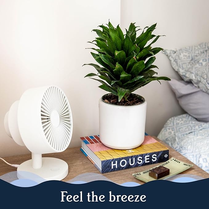 Windmill Smart Fan – Ultra-Quiet 2-in-1 Air Circulator with Remote – 5-Speed Compact Cooling Fan – Whisper-Quiet - App Compatible – Sand