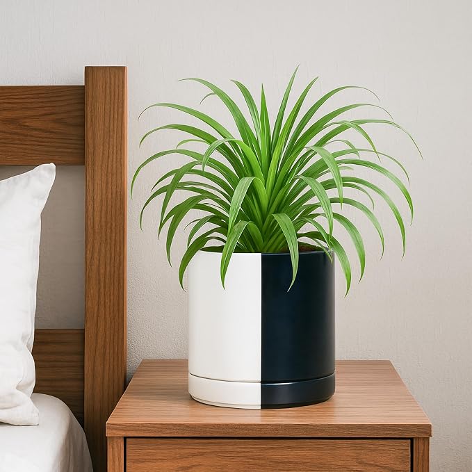 D'vine Dev 6.5 Inch Ceramic Planter Pot, Black White Split, 94-O-C-0 | Modern Cylinder Design, Drainage Hole & Saucer Included, Stable Structure, Elegant Home Accent