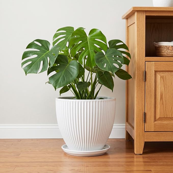 10 Inch Planter, Ceramic Plant Pots with Drainage Hole and Saucer, Modern Large Planters for Indoor Plants, Round Planter, Decorative Flower Pots, Living Room Decor, Gifts for Men Women, White