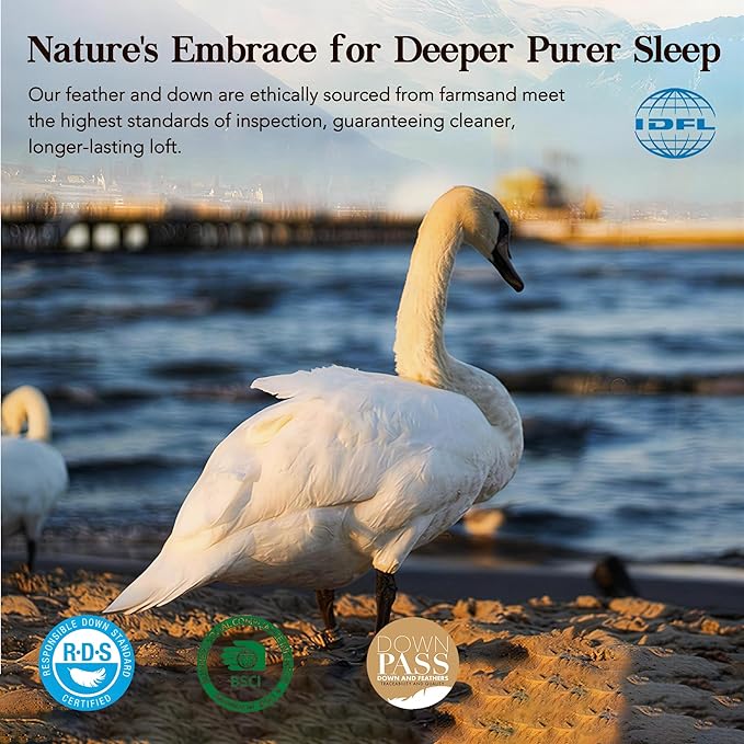 Down Bed Pillows Queen Size, Luxurious Hotel Pillow for Back,Stomach and Side Sleepers,Downproof, Soft, Fluffy, Breathable Cotton Blend Shell,Down Pillow Ideal for Every Night