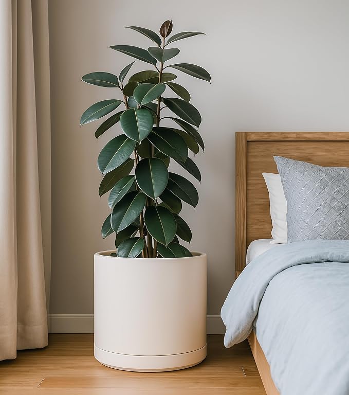 D'vine Dev 14 Inch Ceramic Planter Pot, Oatmeal, 94-O-G-8 | Modern Cylinder Design, Drainage Hole & Saucer Included, Stable Structure, Elegant Home Accent