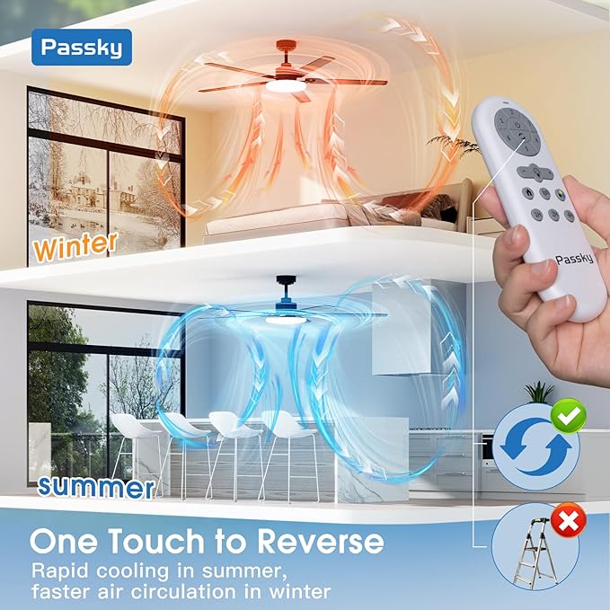 Passky Ceiling Fans with Lights, 60 inch Sleek Ceiling Fan with Light and Remote Control, 3CCT, Dimmable, Reversible, Noiseless, Black Ceiling Fan for Bedroom, Living Room