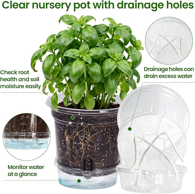 MIXC 12 Pack 6.5 Inch Self Watering Pots for Indoor Plants-Clear Plastic | With Drainage Holes & Deep Reservoirs, Wicking Rope，Root and Water-Level Visibility, Up to 7-Day Water Supply, Reusable