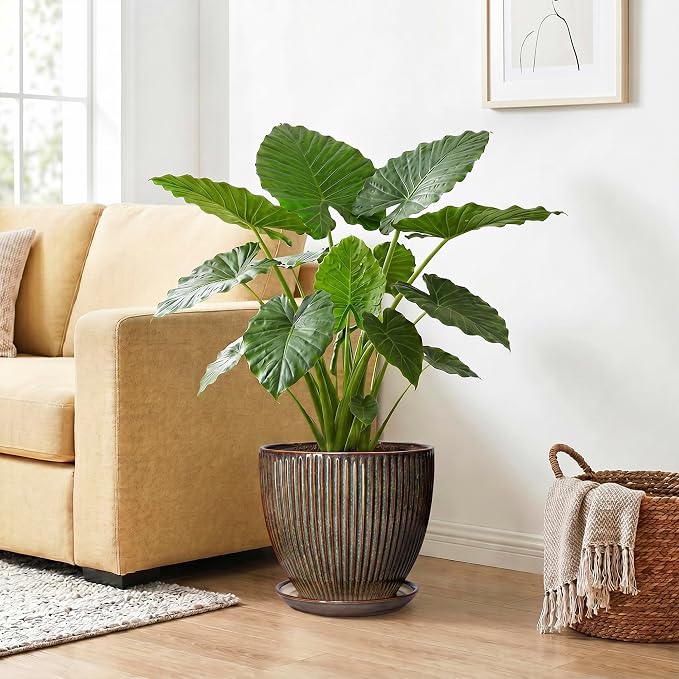 Ceramic Pots for Plants, 10 Inch Planters for Indoor Plants, Decorative Planter with Drainage Hole and Saucer, Round Indoor Plant Pots, Modern Planter, House Decor, Women Men Gifts, Retro Brown
