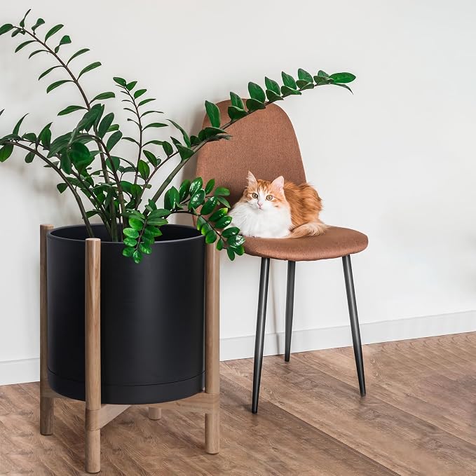 D'vine Dev Plastic Pot with Natural Wood Stand, Black, 16 in, 55-C-Y-2 | Mid-Century Inspired Design, Elevated Plant Display, Clean Lines, Sturdy Support, Modern Space-Saving Style