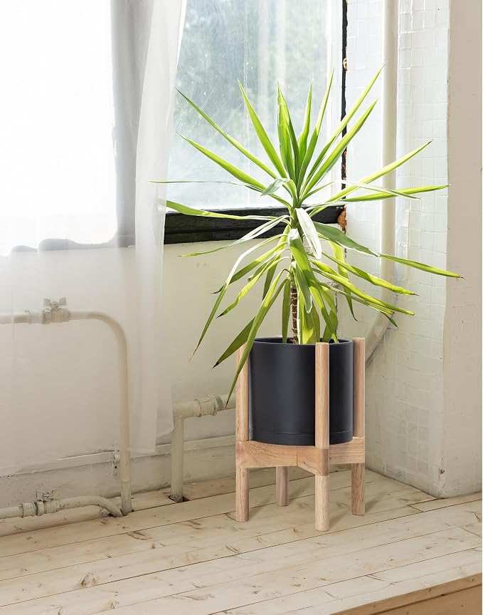 D'vine Dev Plastic Pot with Natural Wood Stand, Black, 8 in, 55-C-J-2 | Mid-Century Inspired Design, Elevated Plant Display, Clean Lines, Sturdy Support, Modern Space-Saving Style