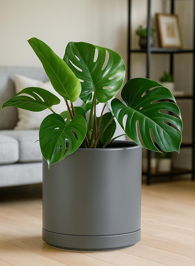 D'vine Dev 12 Inch Ceramic Planter Pot, Grey, 94-O-F-3 | Modern Cylinder Design, Drainage Hole & Saucer Included, Stable Structure, Elegant Home Accent